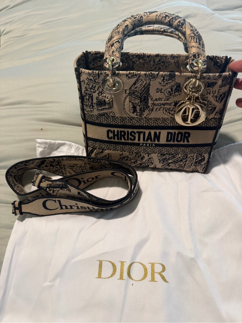 🔥 AUTHENTIC DIOR LADY D-LITE – PLAN DE PARIS – MEDIUM 🔥 - Picture 4 of 12